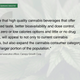 Image for article titled Presentation: The future of the cannabis industry